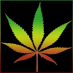 weed reggaeton keyboard android application logo